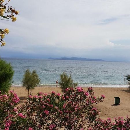 Perfect Beachfront Apartment Atenas Exterior foto