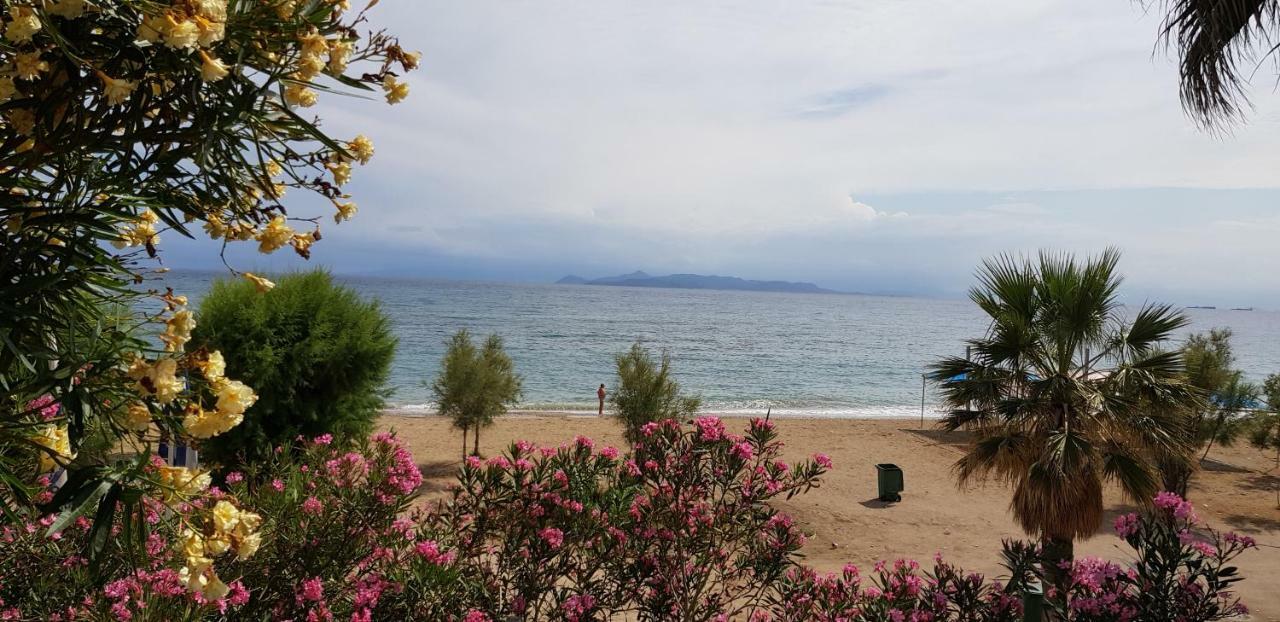 Perfect Beachfront Apartment Atenas Exterior foto